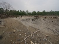 img (251)